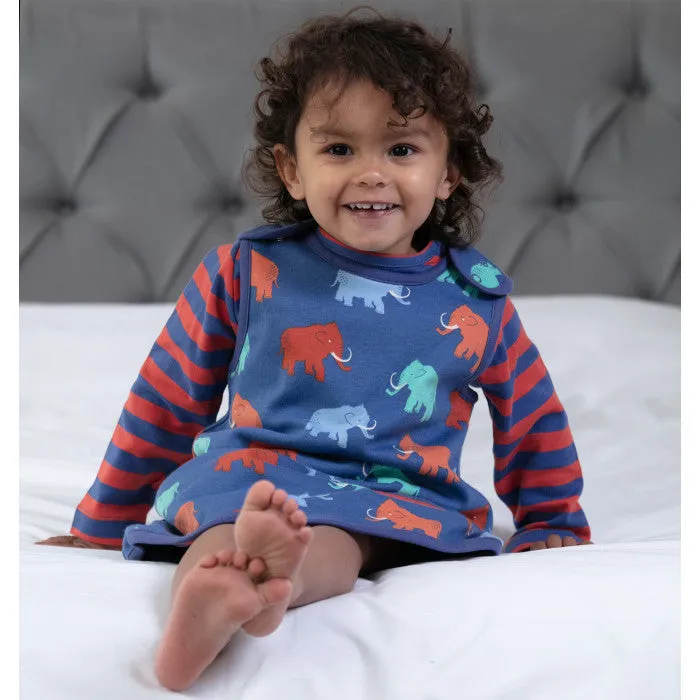 Mammoth Reversible Dress - 1 Left Size 2-3 years