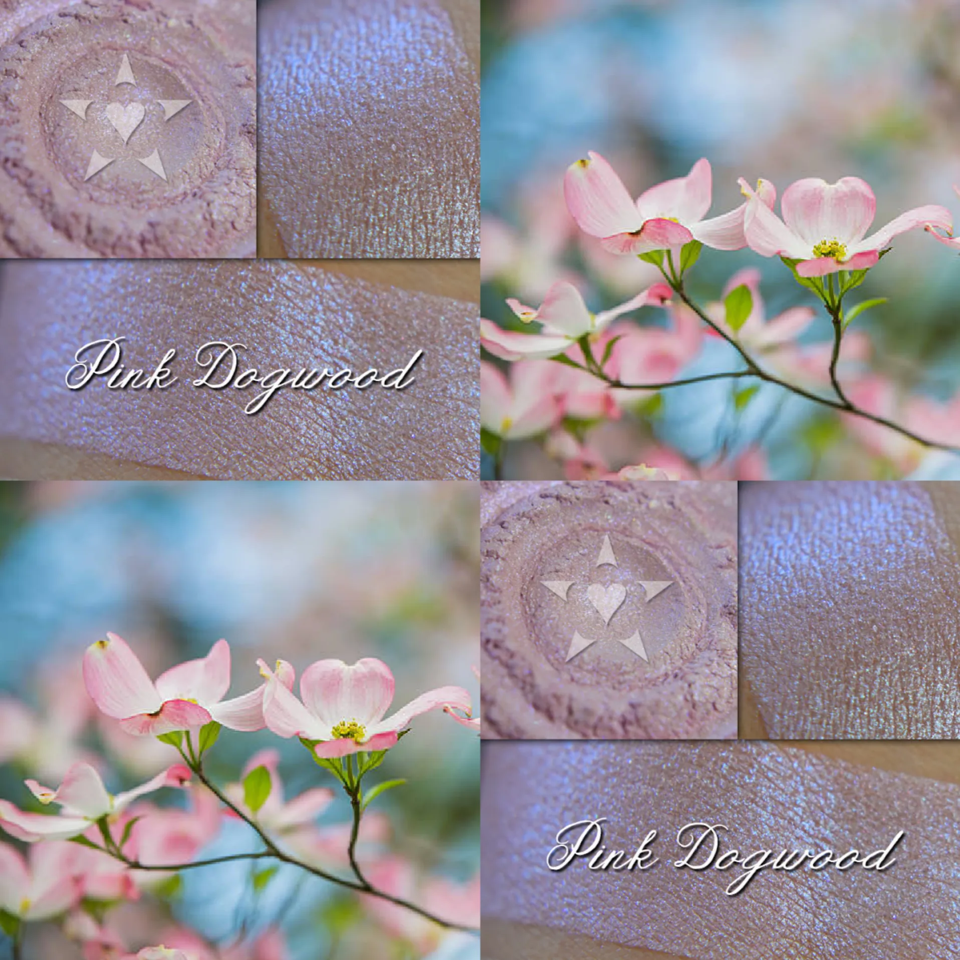 PINK DOGWOOD - EYESHADOW