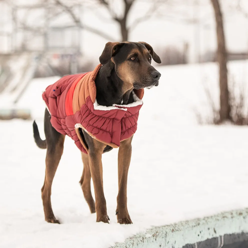 Puffer Dog Coats - Sherpa Lined Water Resistant Dog Coat