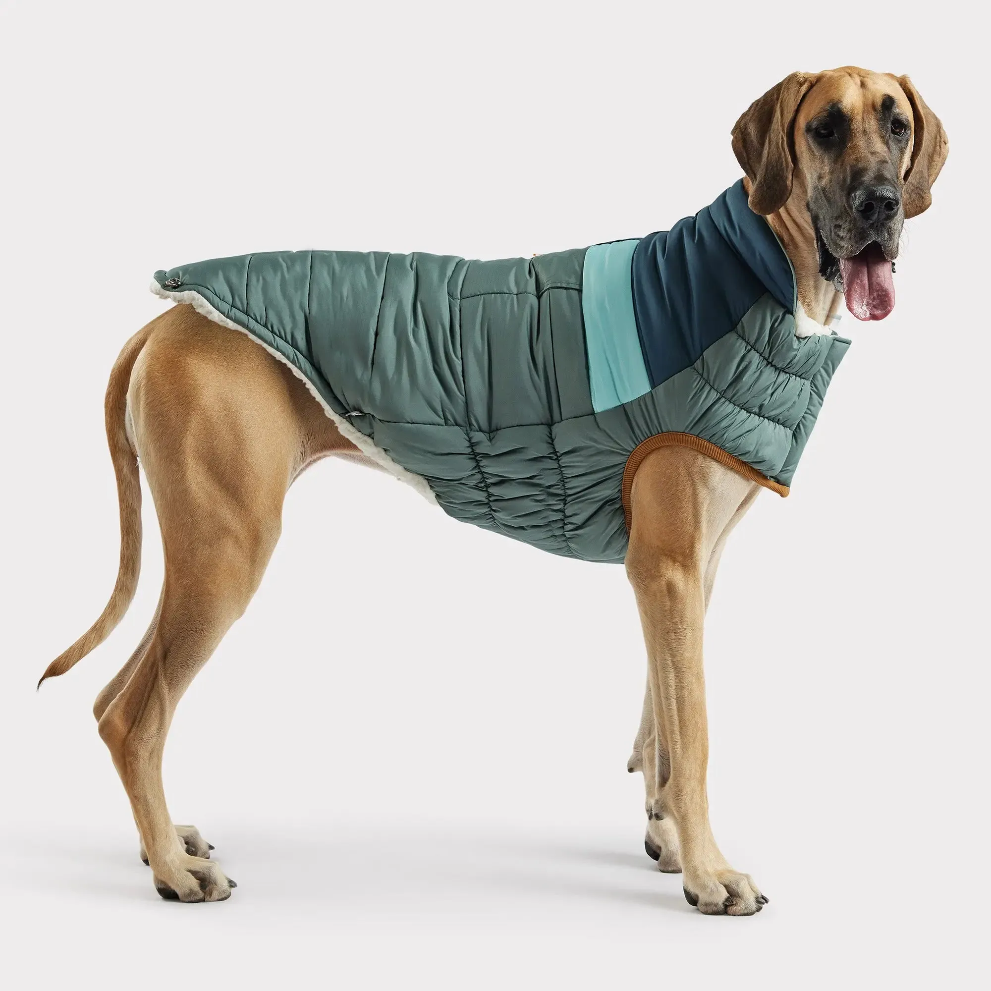 Puffer Dog Coats - Sherpa Lined Water Resistant Dog Coat