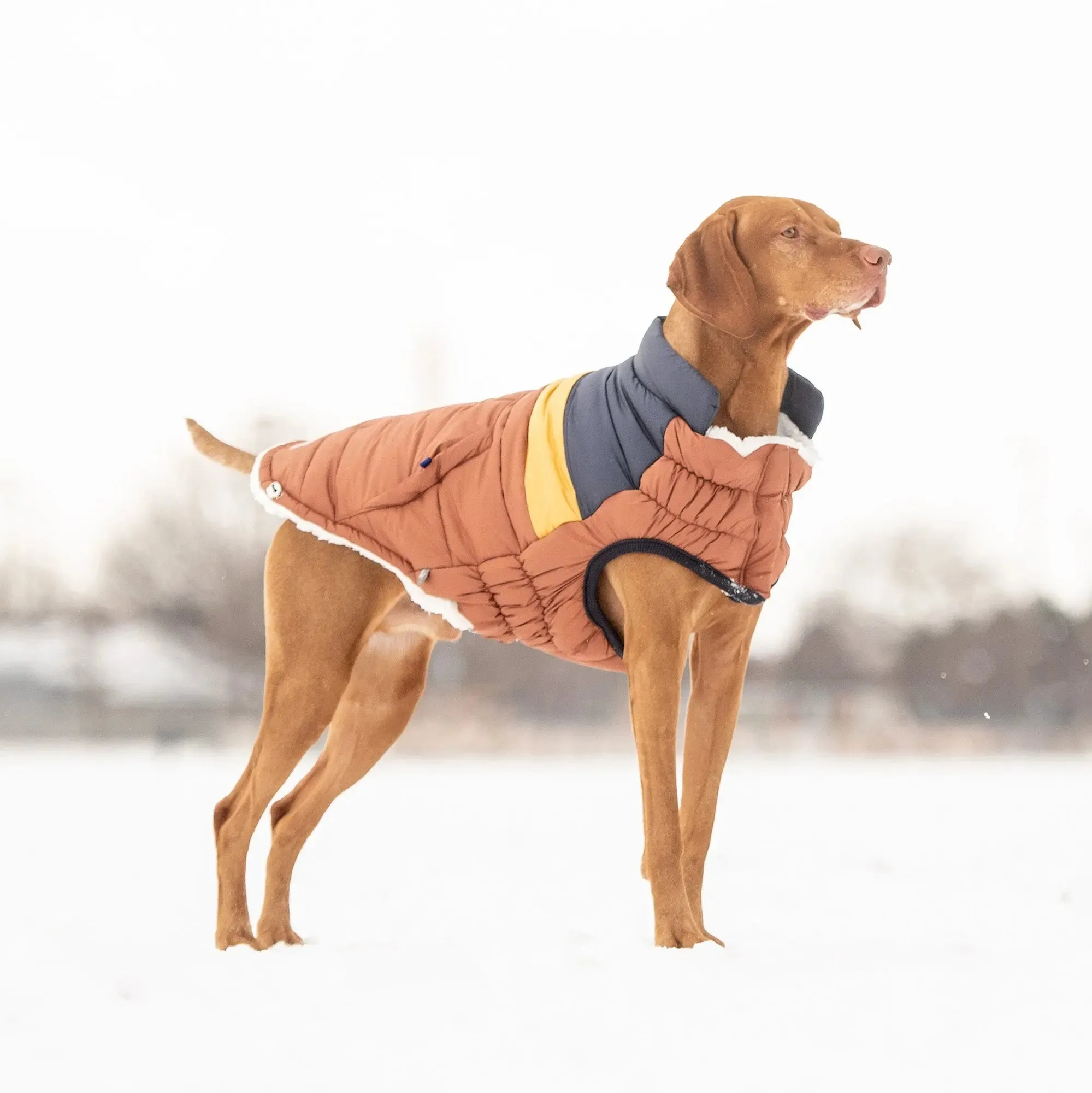 Puffer Dog Coats - Sherpa Lined Water Resistant Dog Coat