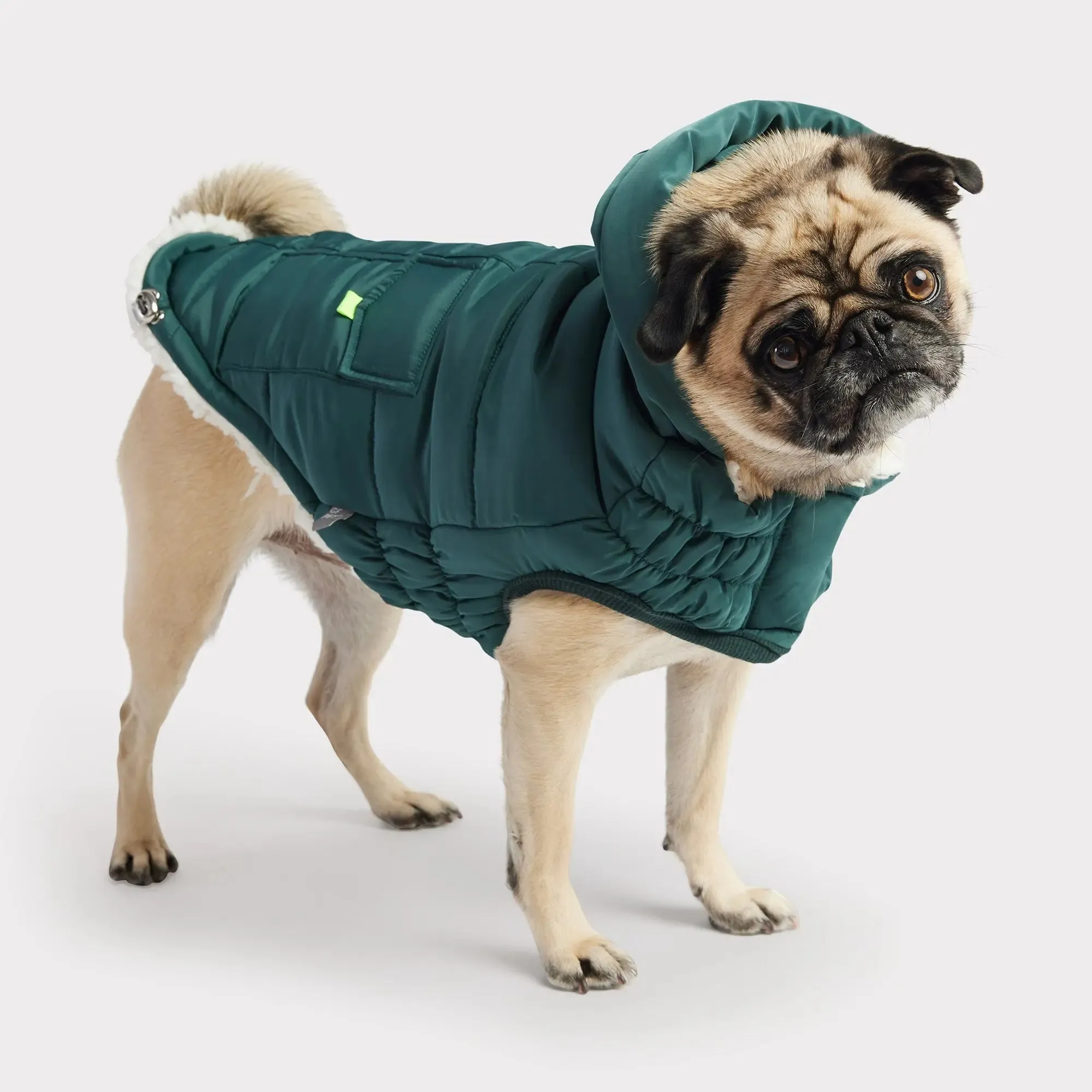 Super Puff Parka Dog Winter Jacket