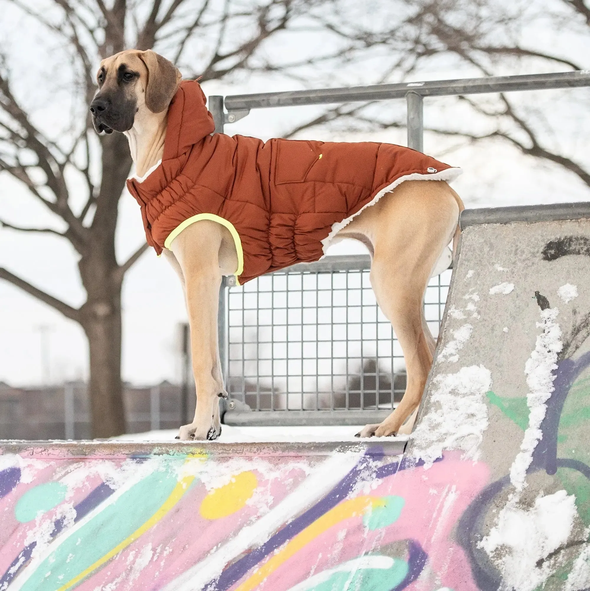 Super Puff Parka Dog Winter Jacket