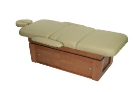 Touch America Violin PowerTilt Spa & Massage Treatment Table